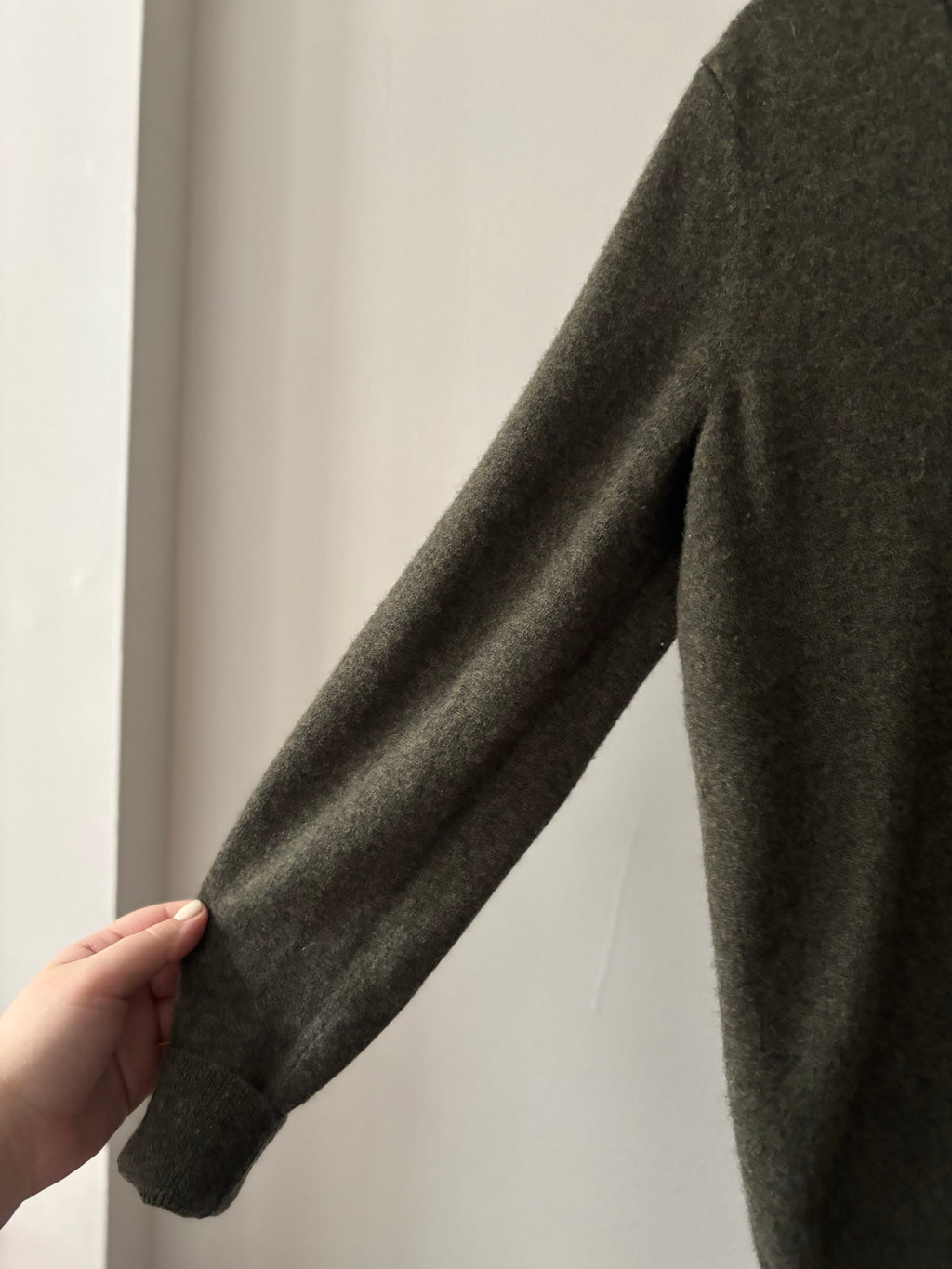 Cashmere Olive Green Everlane V-neck Sweater