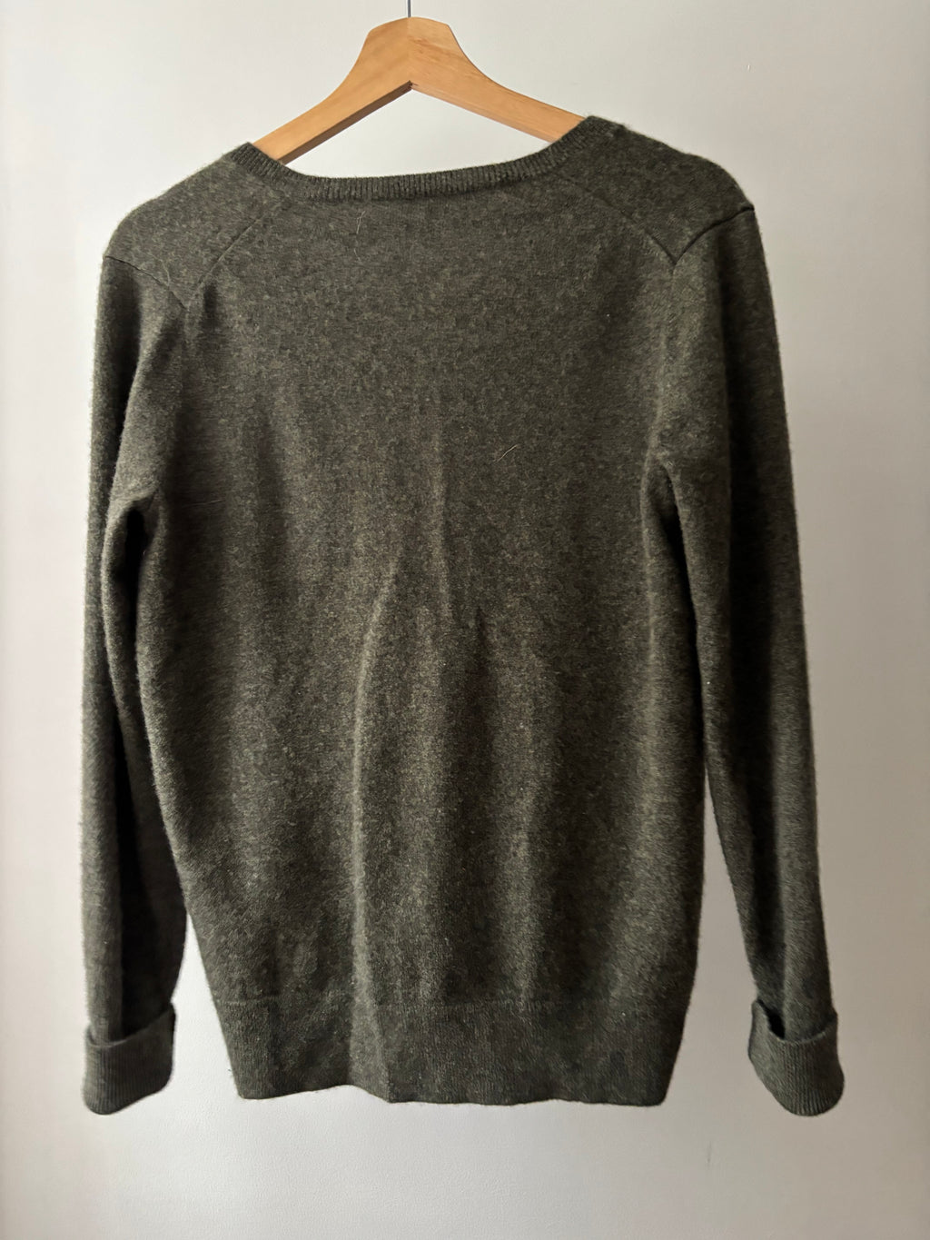 Cashmere Olive Green Everlane V-neck Sweater