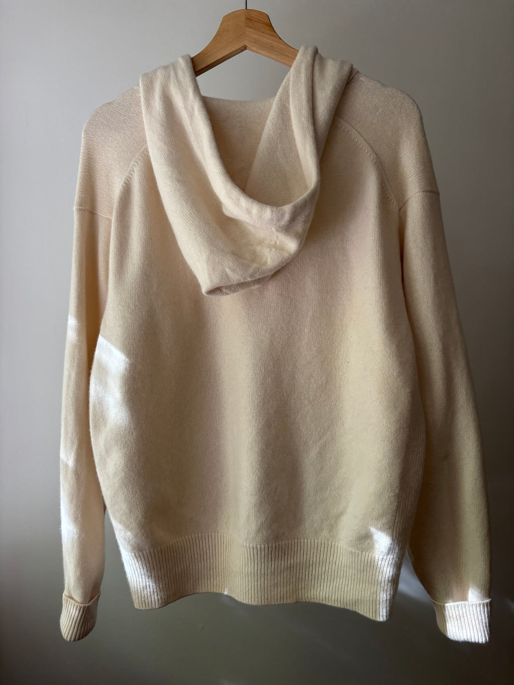 Soft Cashmere & Recycled Wool Aritzia Hoodie